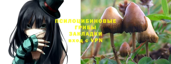 не бодяженный Беломорск