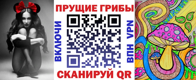 Псилоцибиновые грибы мицелий Невельск